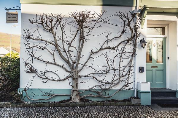 Llety Brynawel Guest House Pennal Exterior photo