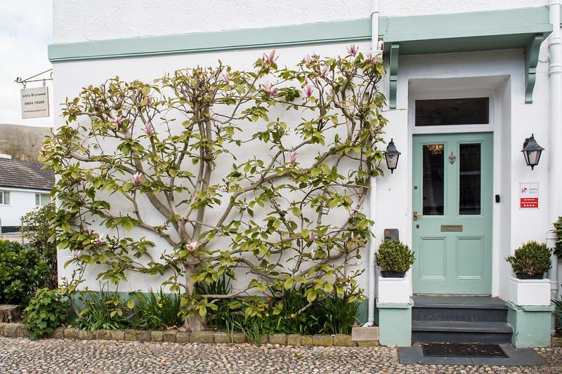 Llety Brynawel Guest House Pennal Exterior photo